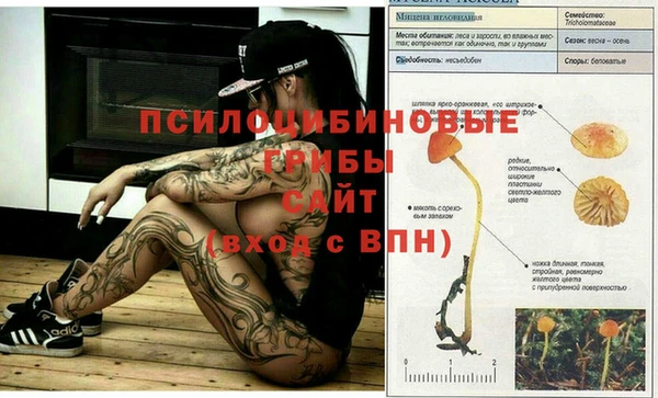 таблы Белокуриха