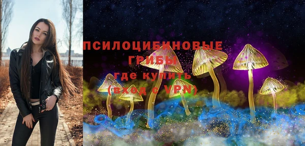 таблы Белокуриха