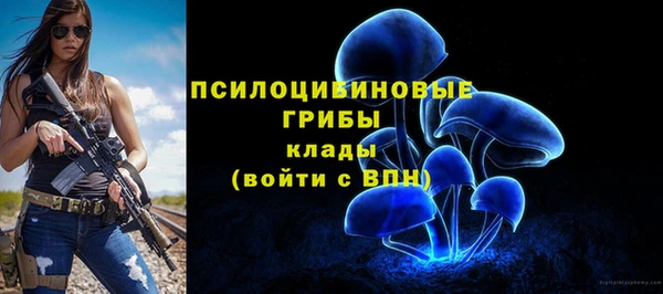 таблы Белокуриха