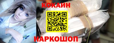 крисы Камышлов