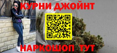крисы Камышлов