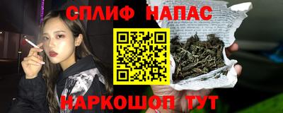крисы Камышлов