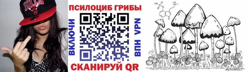 ОМГ ОМГ как зайти  Верхняя Пышма  Псилоцибиновые грибы мицелий 