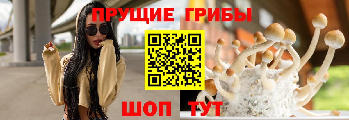 Псилоцибиновые грибы Magic Shrooms  Вход с VPN  Верхняя Пышма 